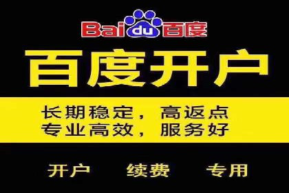 某企业通过SEO和SEM双管齐下实现业绩飞跃的案例
